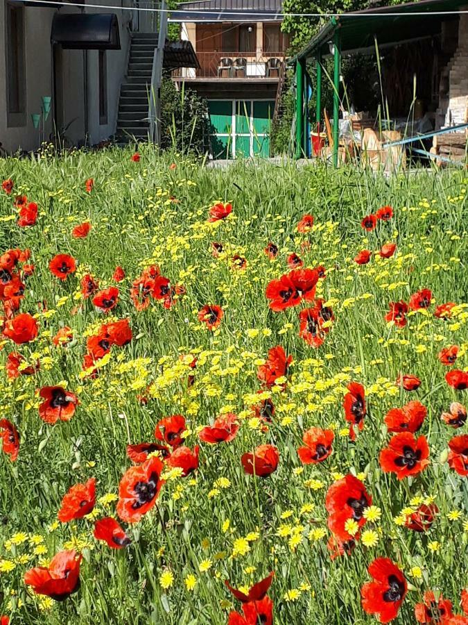 Iris B&B In Debed Canyon Alaverdi Exterior foto